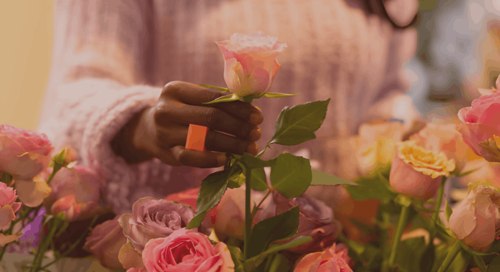 Image Slider